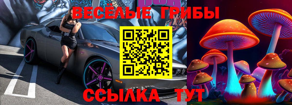 Псилоцибиновые грибы мицелий Шадринск